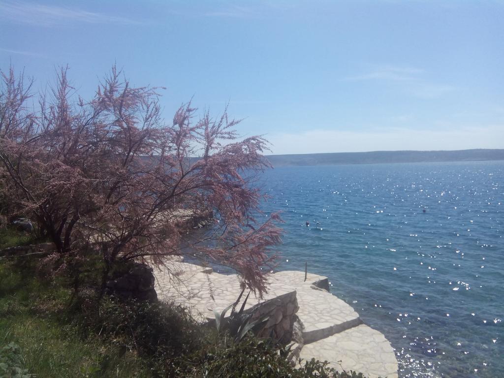 Apartments Ivanka Starigrad Paklenica Ruang foto